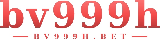 bv999h logo